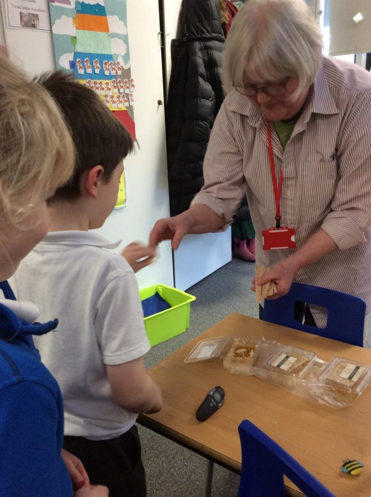 Laura handing out honeycomb samples to children during a school talk