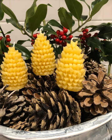 Beeswax pinecone candles with holly