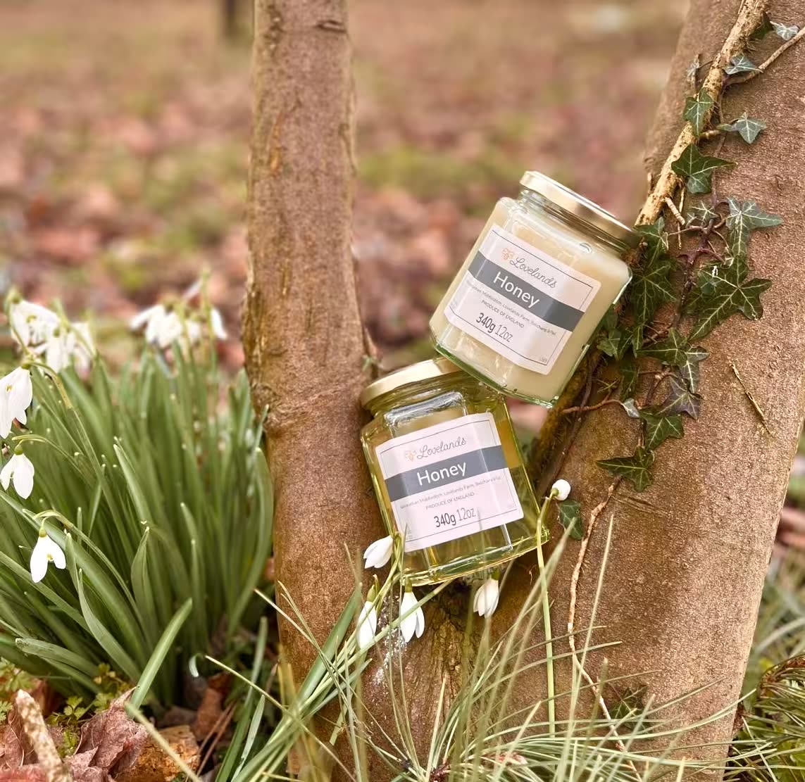 Lovelands raw honey jars beside snowdrops